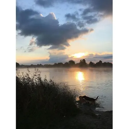 Dandelion Modern Retreat Leezdorf