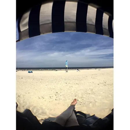 Dandelion Modern Retreat Leezdorf