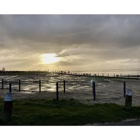 Dandelion Modern Retreat *