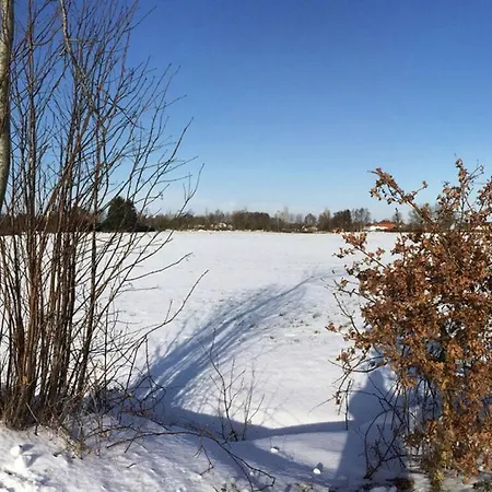 Dandelion Modern Retreat