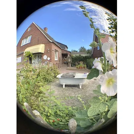 Dandelion Modern Retreat Prázdninový dům