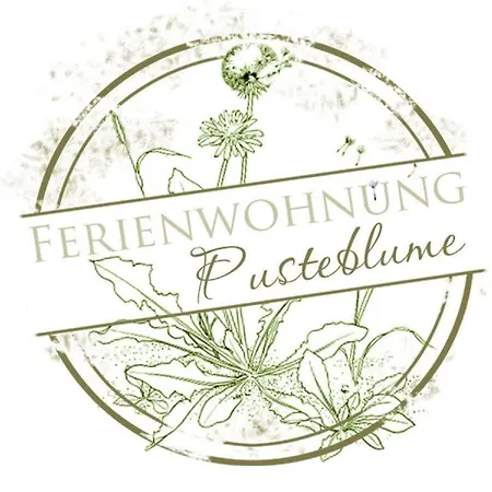 Dandelion Modern Retreat *