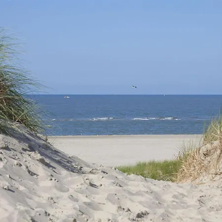 Dandelion Modern Retreat