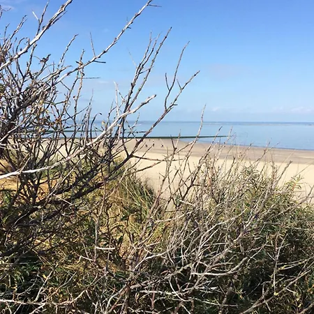 Dandelion Modern Retreat Semesterbostad *