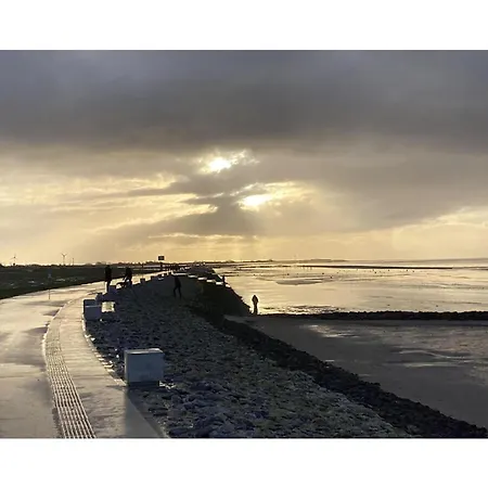 Semesterbostad Dandelion Modern Retreat