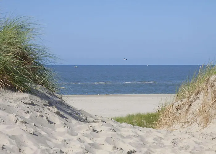 Dandelion Modern Retreat