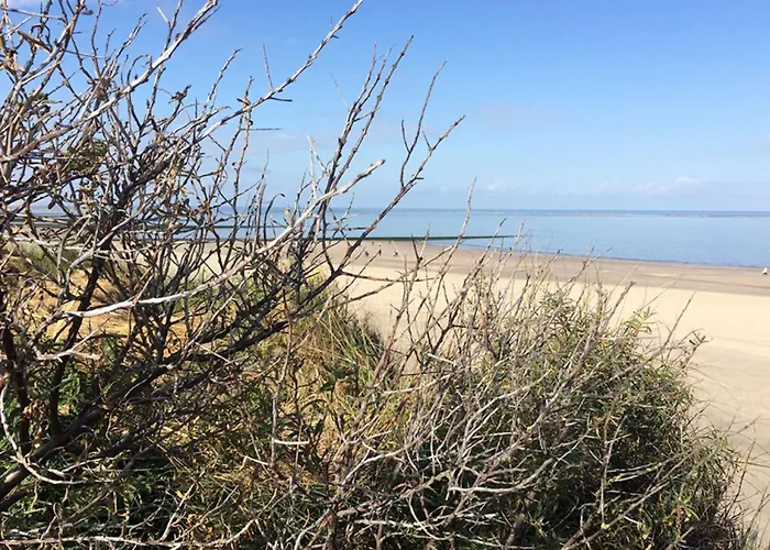 Dandelion Modern Retreat Nyaraló *