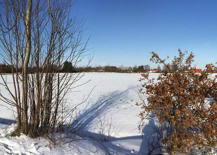 Dandelion Modern Retreat Nyaraló *