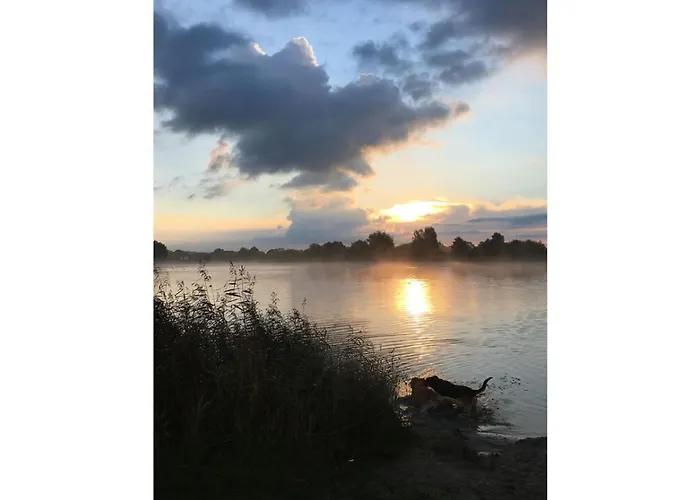 Dandelion Modern Retreat