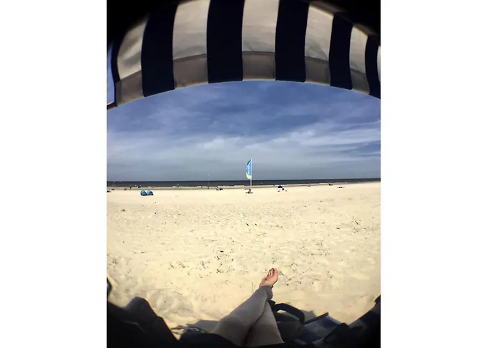 Dandelion Modern Retreat