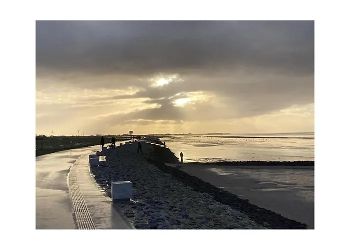 Nyaraló Dandelion Modern Retreat